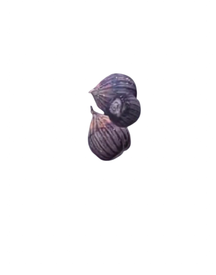 Figs